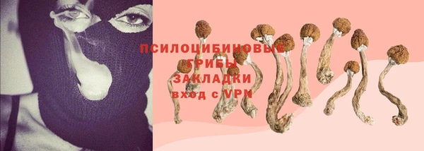 ALPHA-PVP Бугульма