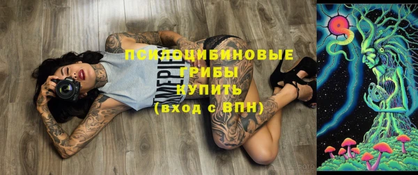 прущая мука Бородино