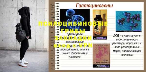 прущая мука Бородино