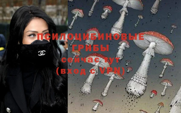 ALPHA-PVP Бугульма